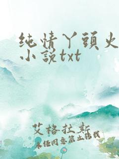 纯情丫头火辣辣小说txt