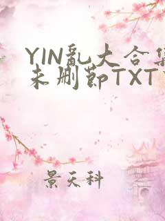 YIN乱大合集未删节TXT下载