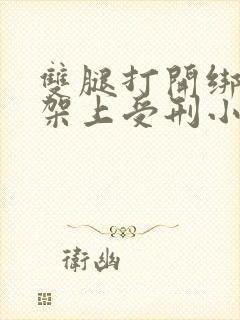 双腿打开绑在刑架上受刑小说