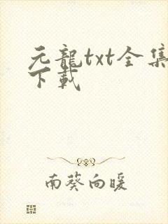 元龙txt全集下载