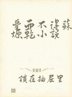 爱而不得苏路顾塬乾小说