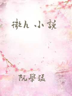 微h 小说