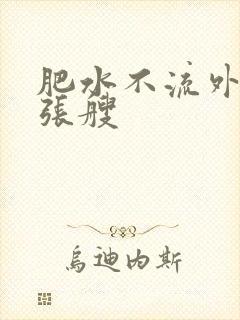 肥水不流外人田张艘