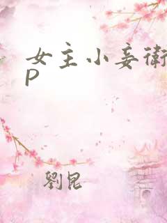 女主小妾卫府NP