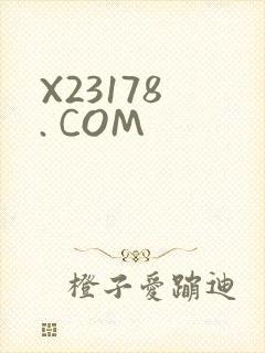 X23178 . COM