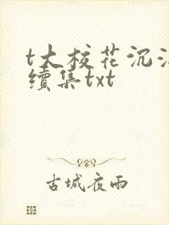 t大校花沉浮录续集txt