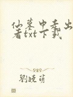 仙墓中走出的强者txt下载