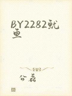 BY2282鱿鱼