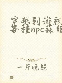 穿越到游戏里和各种npc苏绾