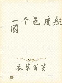 一个色度航导美国