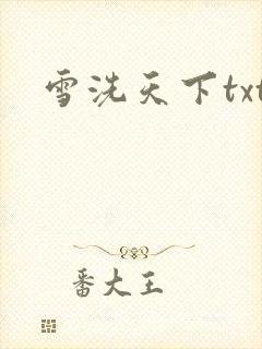 雪洗天下txt