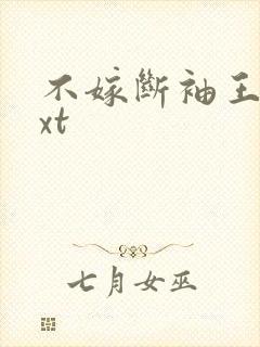 不嫁断袖王爷txt