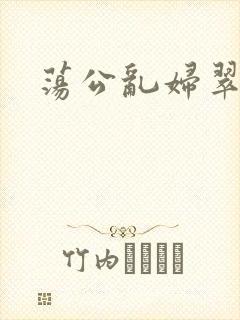 荡公乱妇翠翠