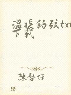 温暖的弦txt下载