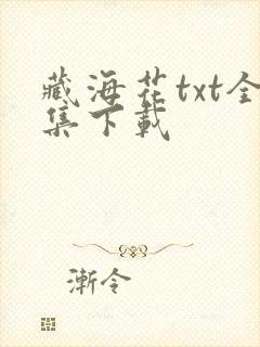 藏海花txt全集下载