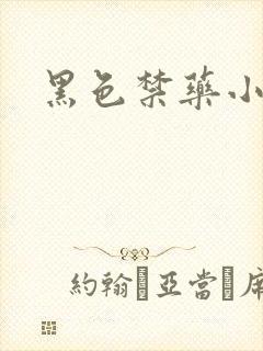 黑色禁药小说