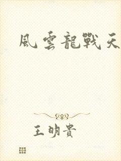风云龙战天下
