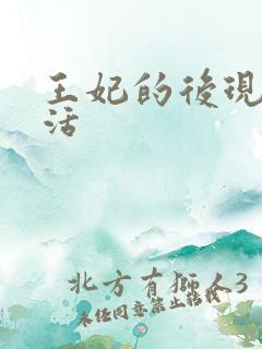 王妃的后现代生活