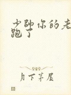 少帅你的老婆又跑了