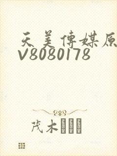 天美传媒原创MV8080178