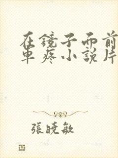 在镜子面前做开车疼小说片段