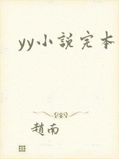 yy小说完本
