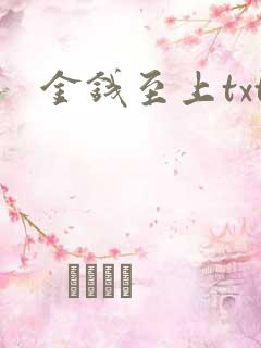 金钱至上txt