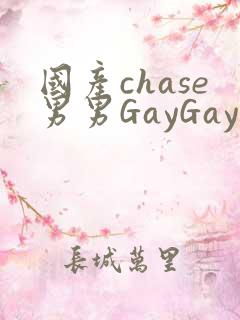 国产chase男男GayGay