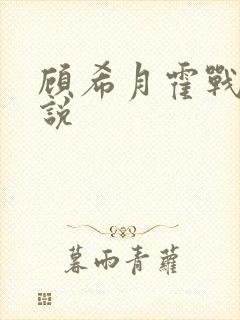 顾希月霍战霆小说