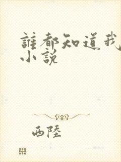 谁都知道我爱你小说