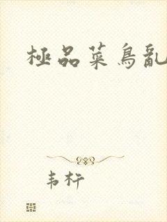 极品菜鸟乱江湖