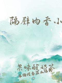 隔壁肉香小说