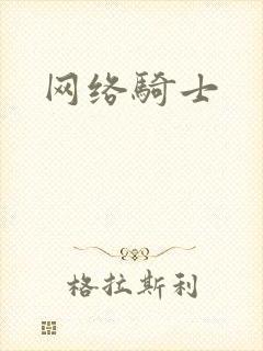 网络骑士