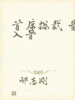 首席总裁 爱你入骨