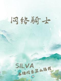 网络骑士
