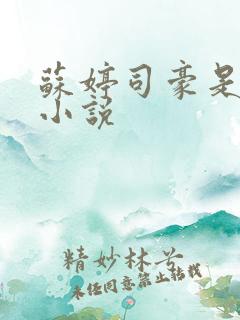 苏婷司豪是什么小说