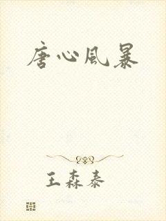 唐心风暴