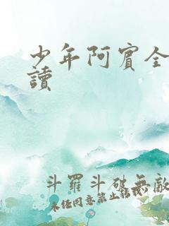 少年阿宾全本阅读