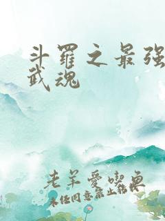 斗罗之最强治疗武魂