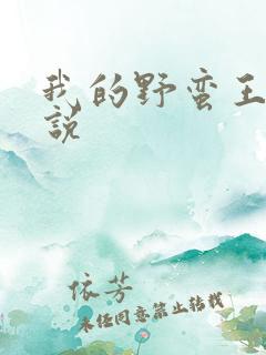 我的野蛮王妃小说