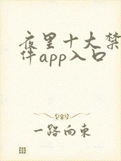 夜里十大禁用软件app入口