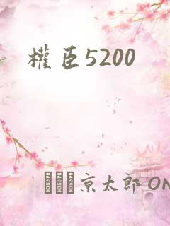 权臣5200