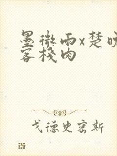 墨微雨x楚晚宁客栈肉