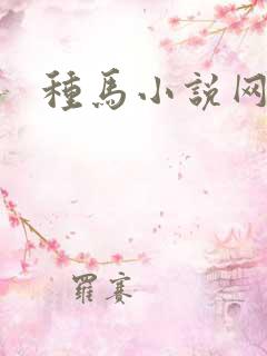 种马小说网