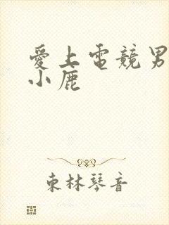 爱上电竞男神林小鹿