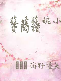 苏晴苏婉小说免费阅读