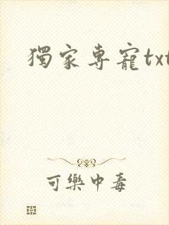 独家专宠txt
