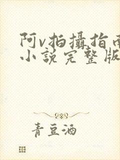 阿v拍摄指南说小说完整版