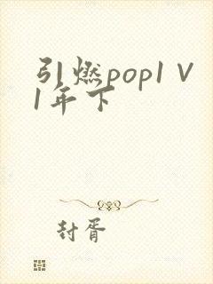 引燃pop1∨1年下