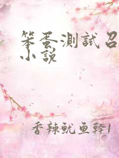 笨蛋测试召唤兽小说